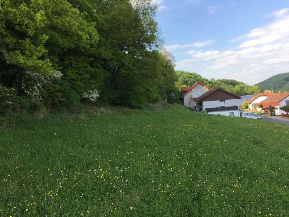 Ferienhaus Moscheltal Villa Waldgrehweiler Exterior foto